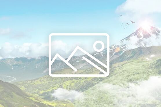 �Ͳď����C(j��)ҕ�l